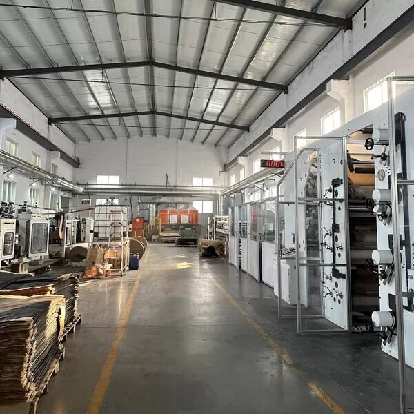 Xinxiang Huayuan Paper Plastic Bag Co., Ltd. manufacturer production line